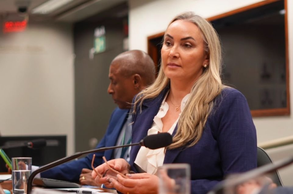 Daniela Reinehr propõe audiência sobre ferrovias na Câmara Federal