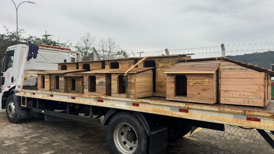 Blumenau instala novas casinhas para proteção de animais comunitários