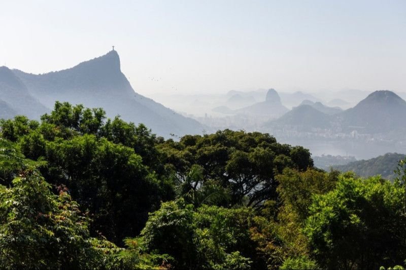 Brasil define prioridades para a COP17 da Biodiversidade