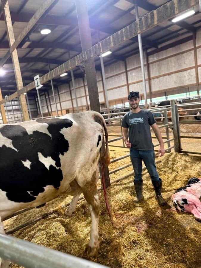 Estudante de Medicina Veterinária relata experiência de estágio nos EUA
