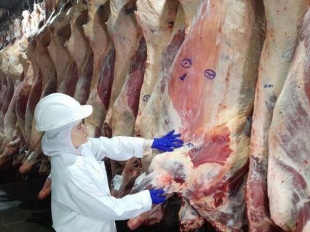 União Europeia suspende importações de carnes brasileiras a partir de quinta-feira