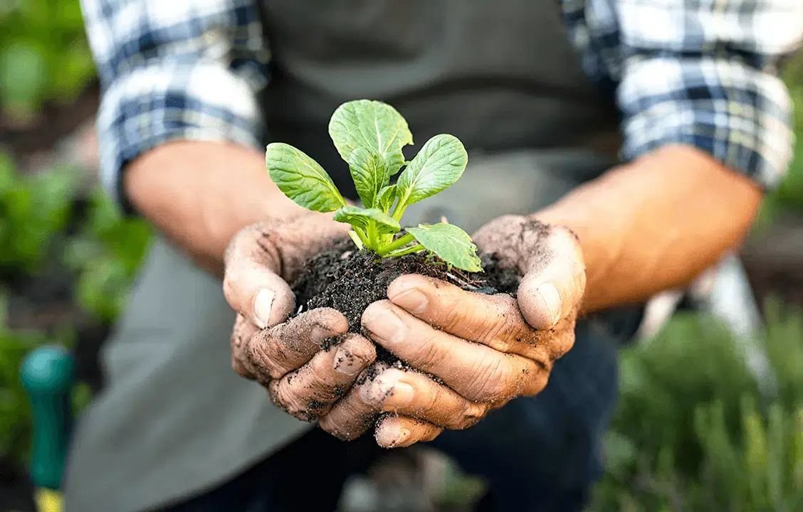 Seminário Regional de Agroecologia será realizado em 8 de setembro em SMO