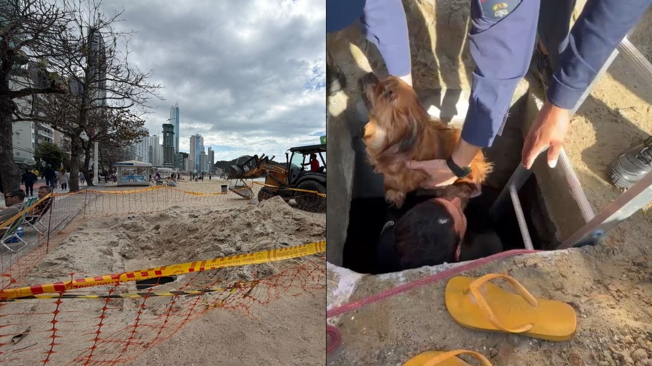 Cachorro é resgatado de galeria de macrodrenagem em Balneário Camboriú