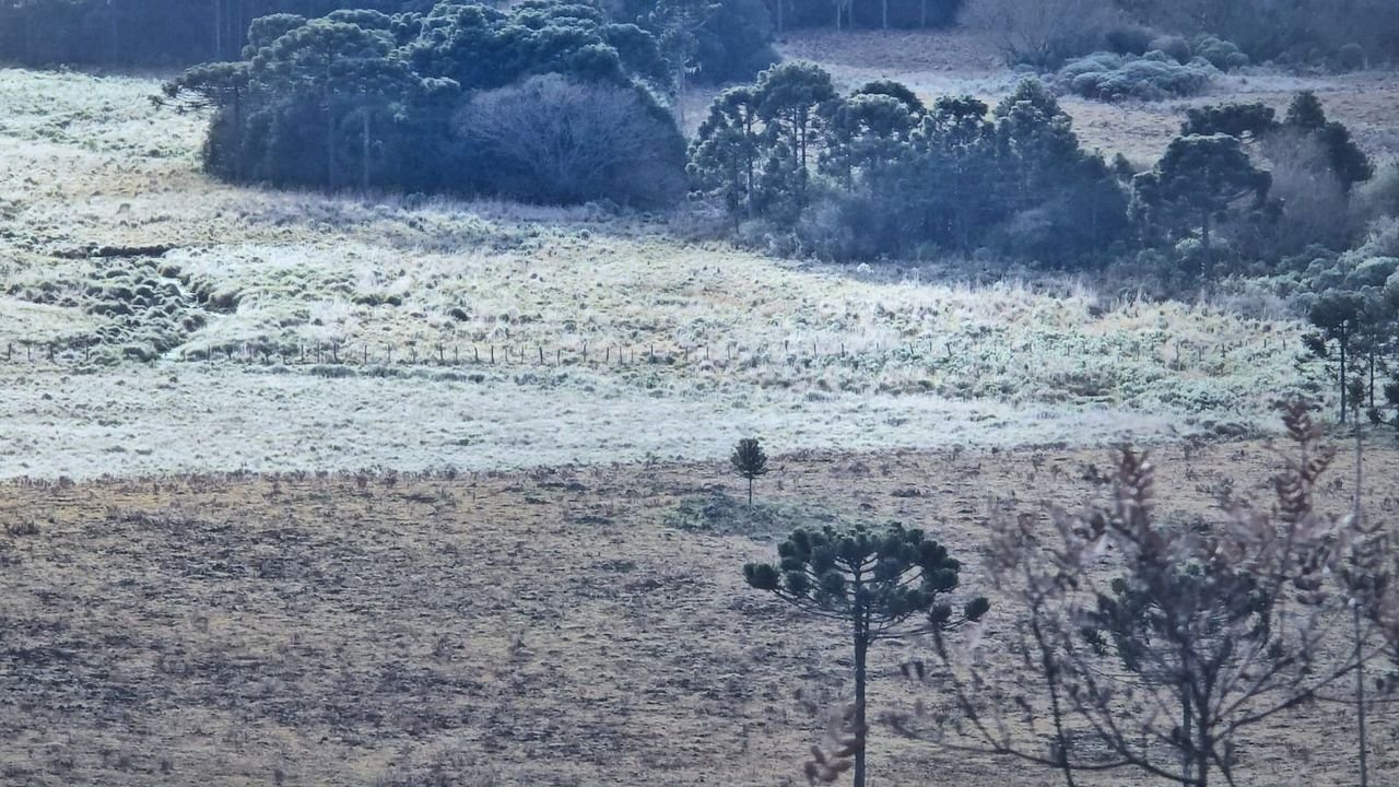 Feriado de 7 de setembro tem frio intenso e geada em Santa Catarina