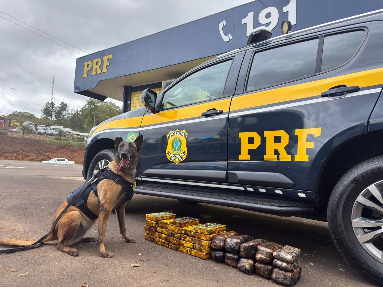 PRF apreende 35 kg de drogas escondidos em carreta na BR-282