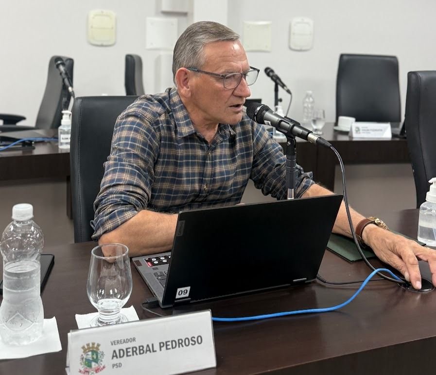 Câmara de Chapecó aprova política de apoio à primeira infância em espaços públicos
