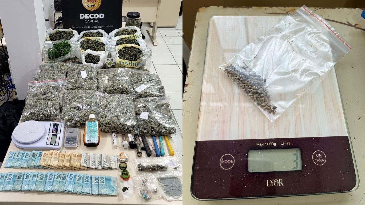 Homem com autorização para cultivar cannabis é preso por tráfico em SC