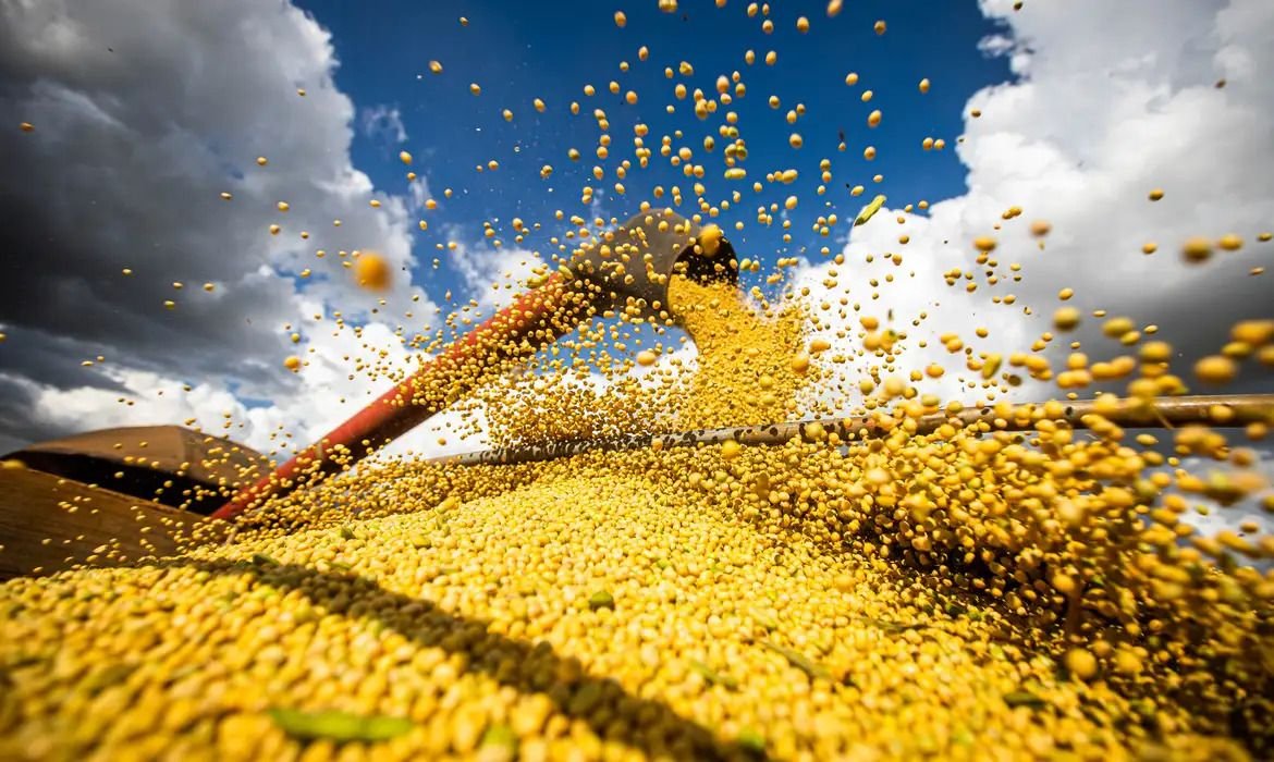 Produção agrícola brasileira alcança R$ 927 bilhões em 2025, aponta IBGE