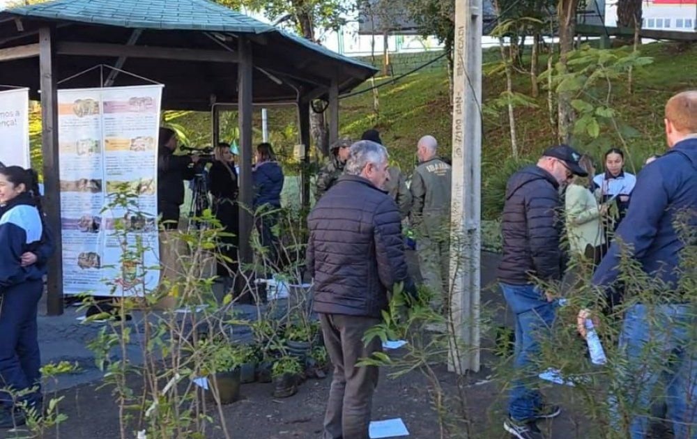 Prefeitura de Chapecó realiza cadastro para doação de mudas de árvores nativas
