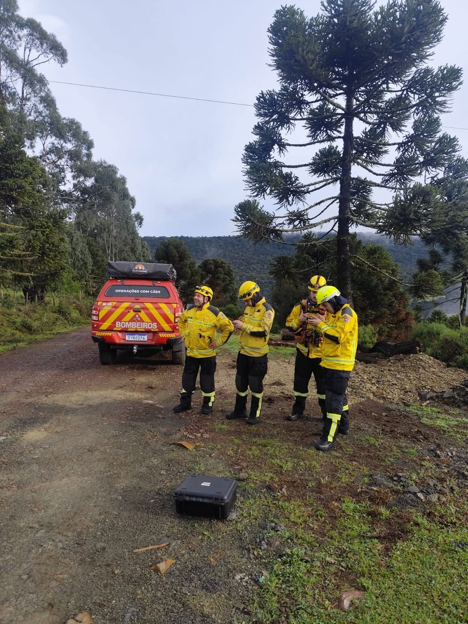 CBMSC encontra destroços de aeronave com Rick, da dupla Rick & Renner, na Serra de SC