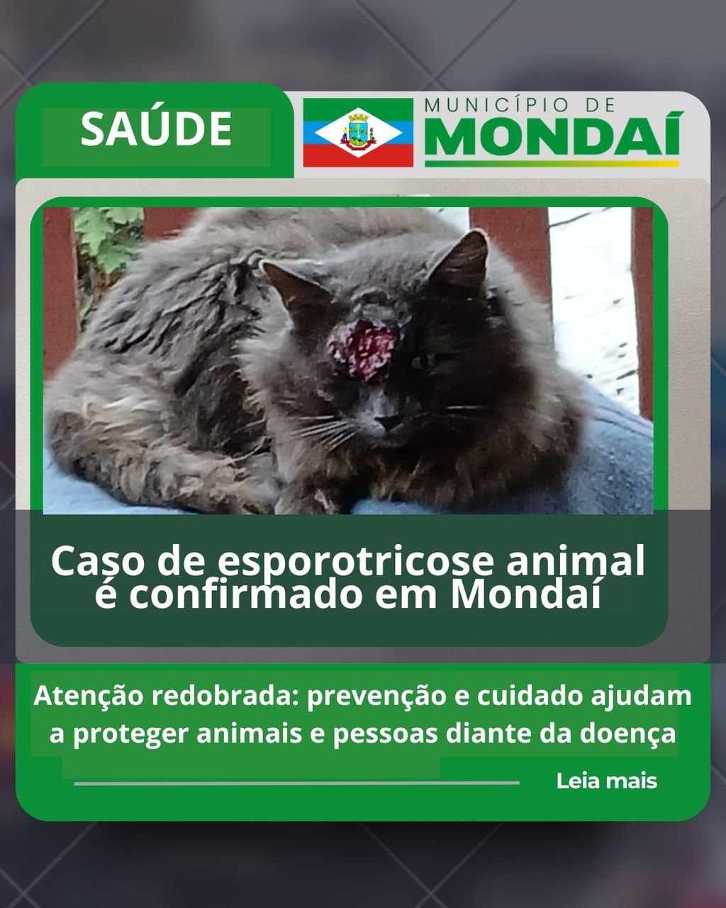 Caso de esporotricose animal é confirmado em Mondaí