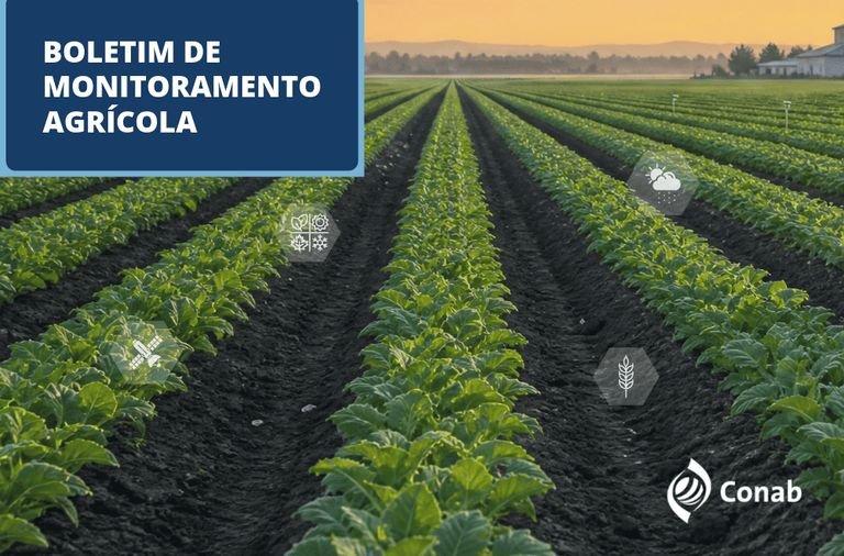 Safra 2026/2027 avança em SC com previsão de chuvas acima da média