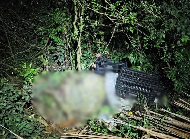 MPSC denuncia trio por extorsão e morte de homem em Chapecó e Cunha Porã