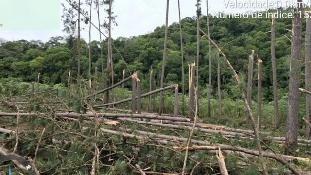 Temporal atinge 29 municípios de SC e causa danos em mais de 90 residências