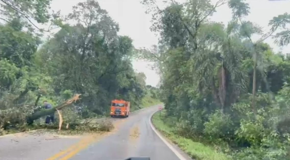 Temporal causa estragos em BR-163 e municípios do Oeste de SC com destelhamentos