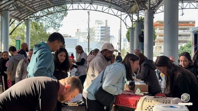 São Miguel do Oeste castra 400 cães e gatos em mutirão gratuito na Praça Walnir Bottaro