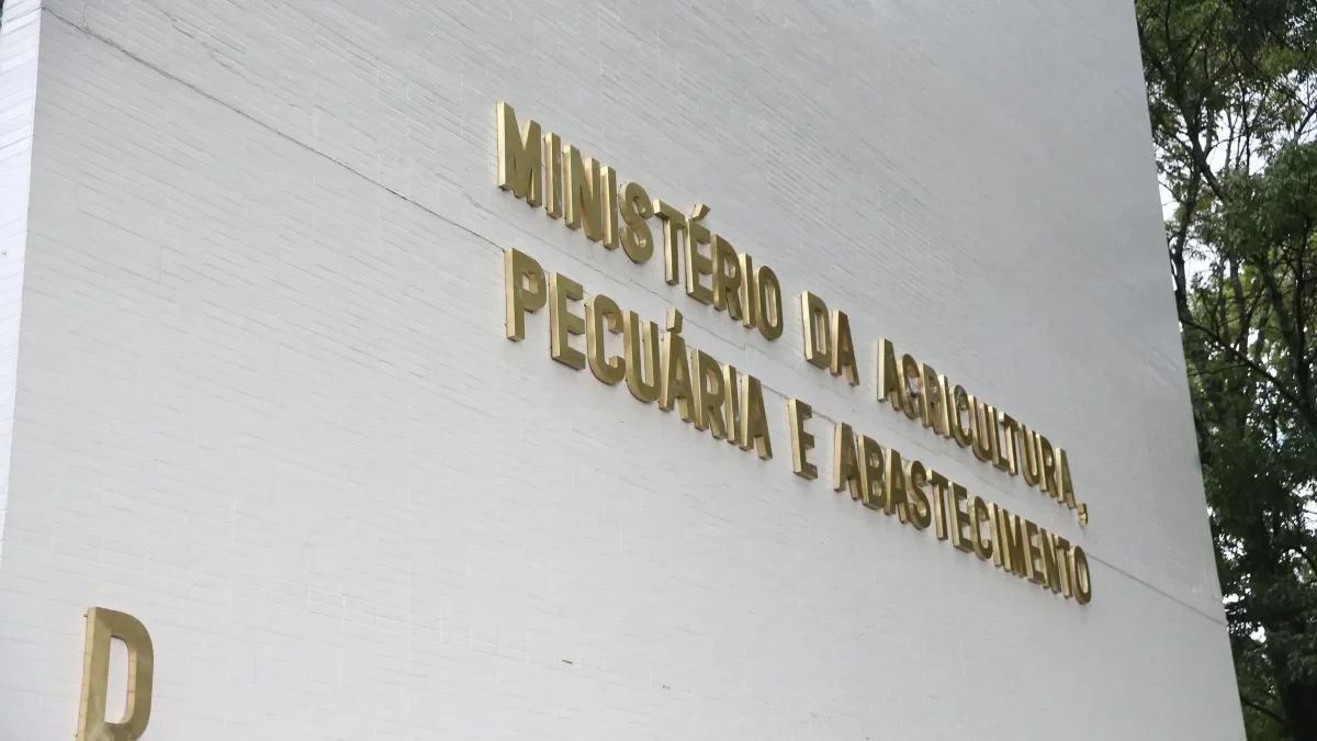 China, México e Chile suspendem importações de carne de aves de SC após foco de Newcastle