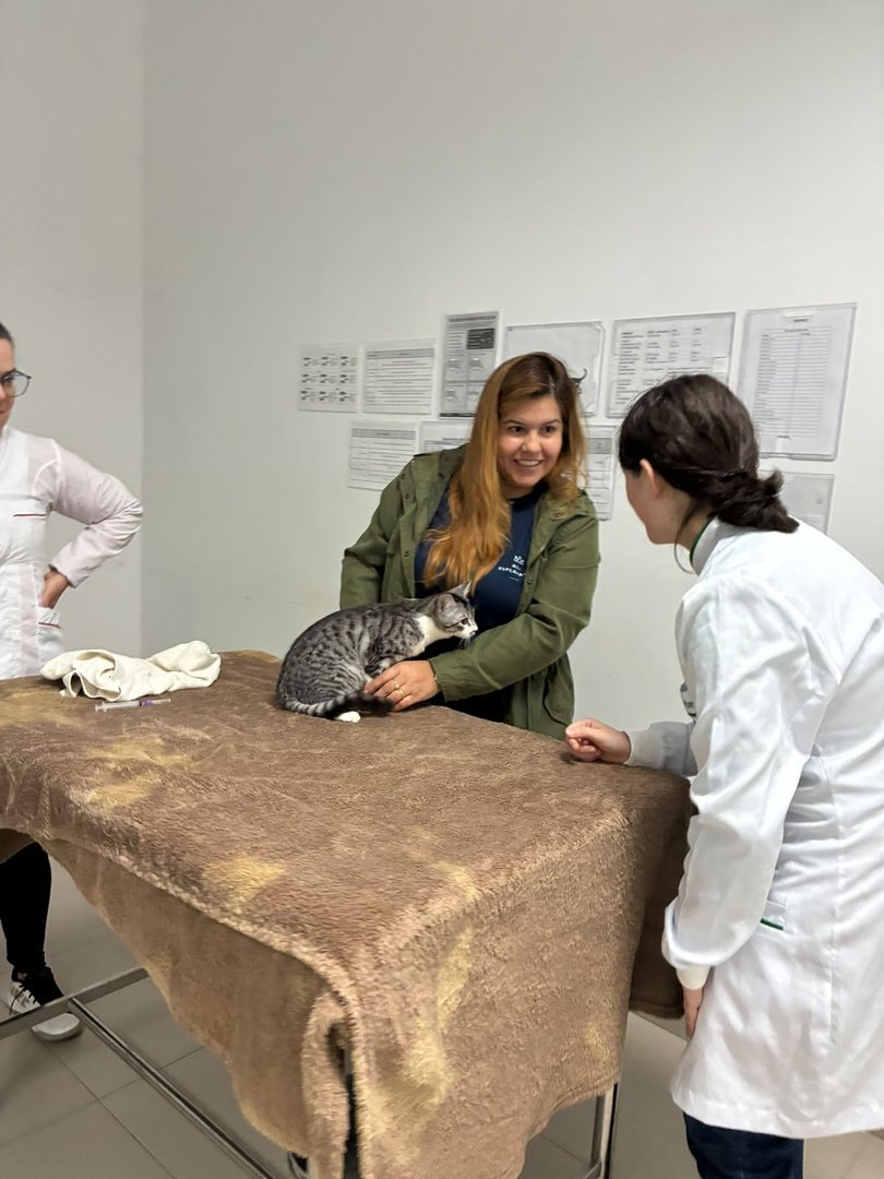 UCEFF dá continuidade à vacinação antirrábica de cães e gatos nesta quarta e quinta-feira em Chapecó