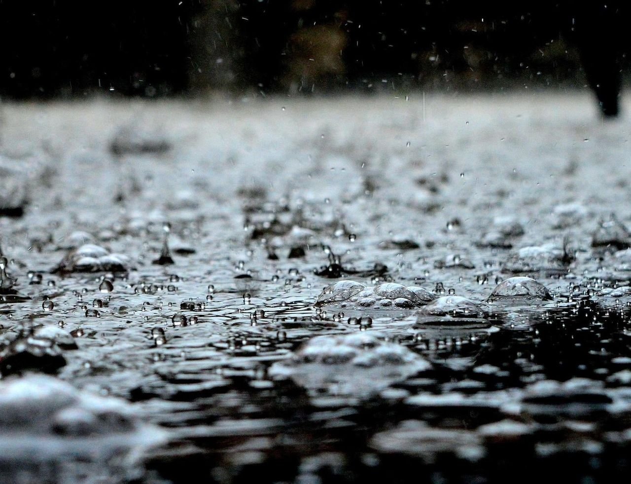 El Niño provoca chuvas acima da média em SC até janeiro de 2027, alerta Defesa Civil